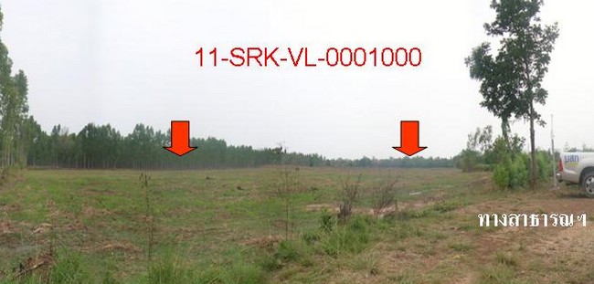 full_20110601113541.jpg