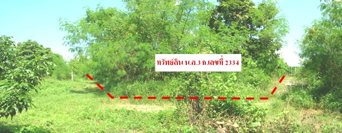 full_20121128142149.JPG