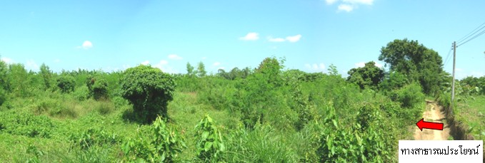 full_20121128142156.JPG