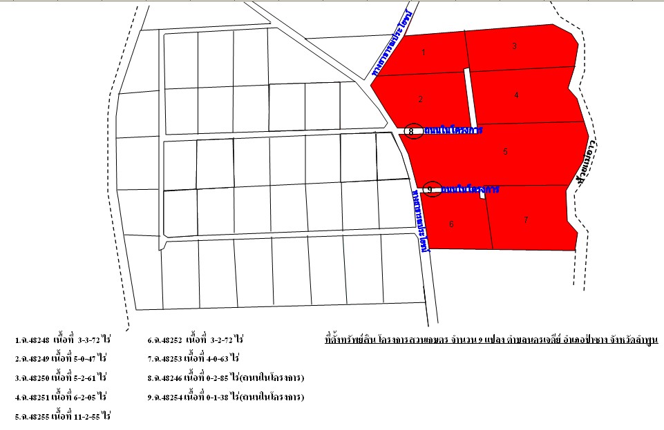 full_20121129091302.JPG