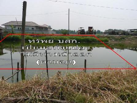 full_20121214160734.JPG