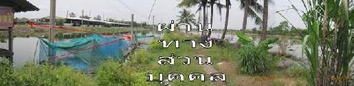 full_20121214160747.JPG