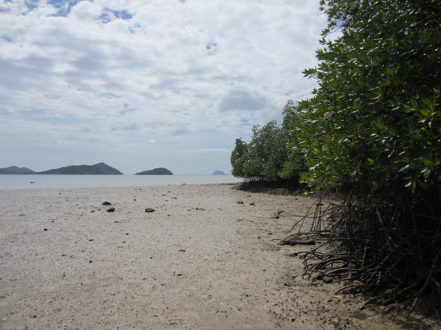 full_20130227163827.jpg