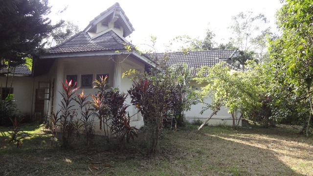 full_20130304105159.JPG