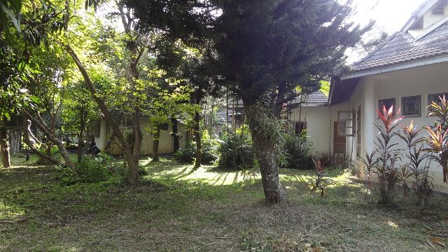 full_20130304105225.JPG