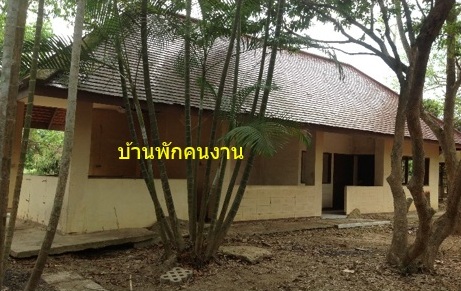 full_20140902135330.jpg