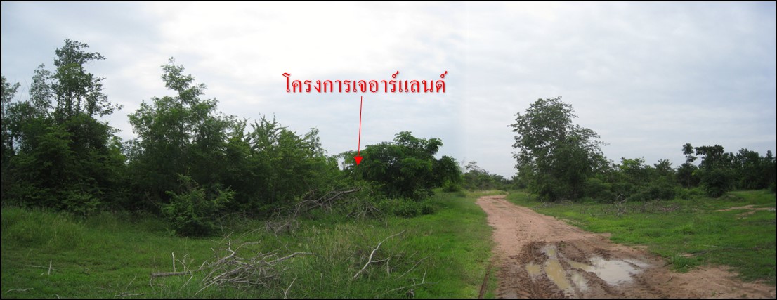 full_20150206131727.jpg