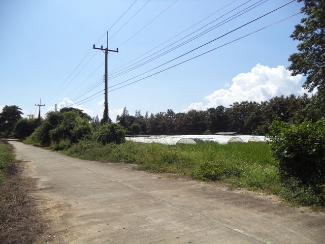 full_20150428154402.JPG