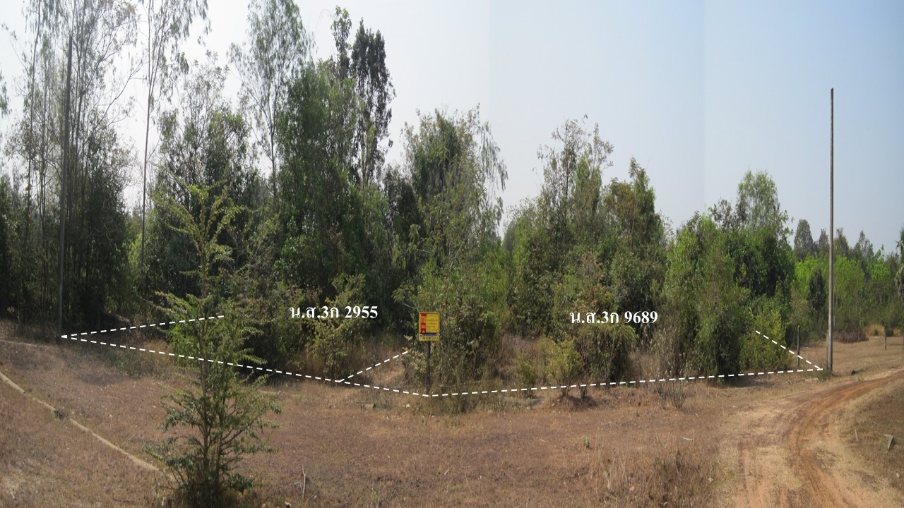 ที่ดินเปล่า โครงการดงฟ้าห่วน อุบลราชธานี (Land for Sale at Dong Fah Huan Project, Ubon Ratchathani)