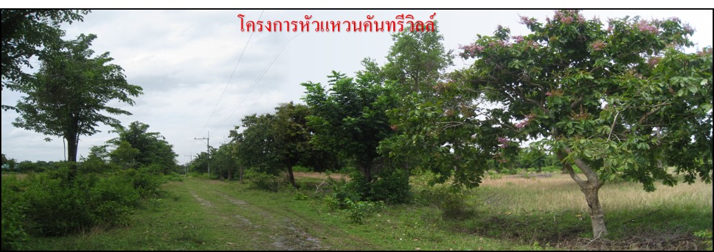 full_20170518102426.jpg