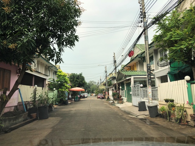 full_20180126161958.JPG