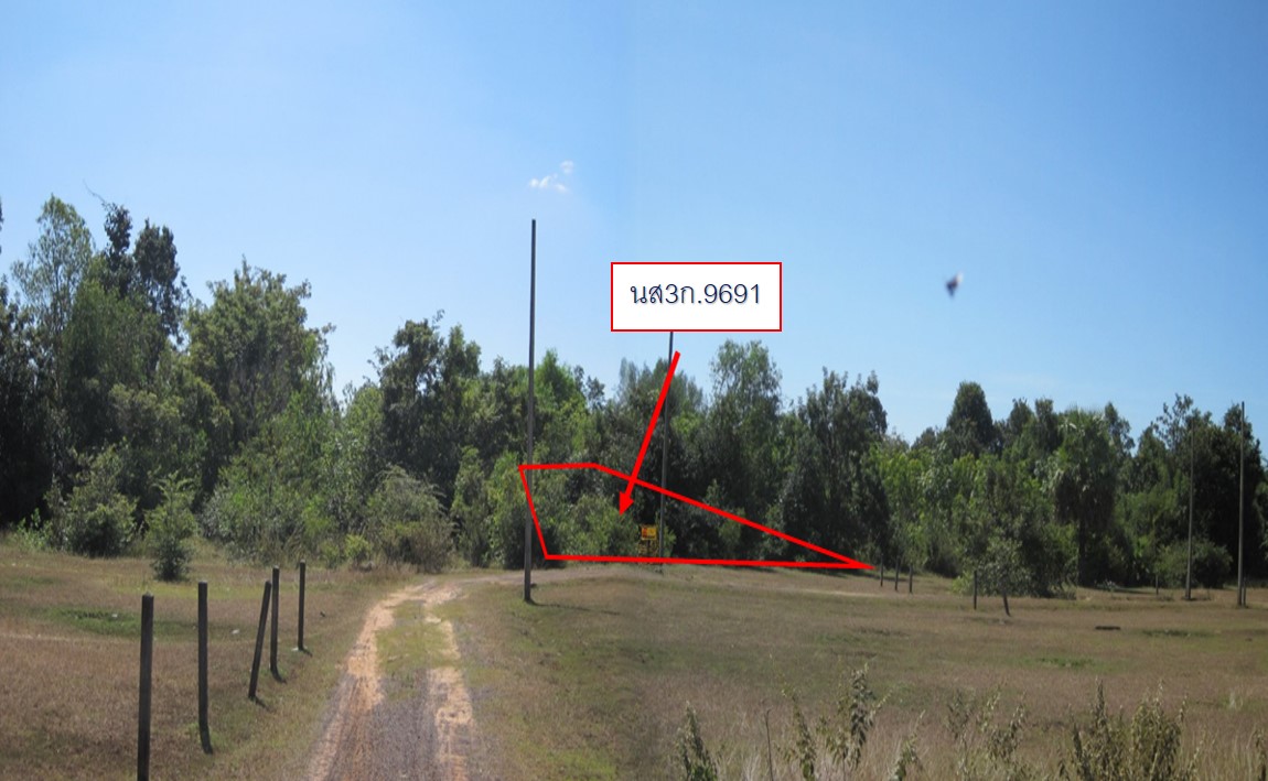 ที่ดินเปล่า โครงการดงฟ้าห่วน อุบลราชธานี (Land for Sale at Dong Fah Huan Project, Ubon Ratchathani)