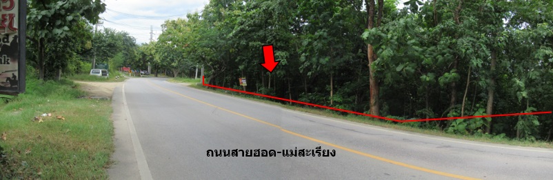 full_20190411142008.jpg
