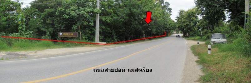 full_20190411142013.jpg