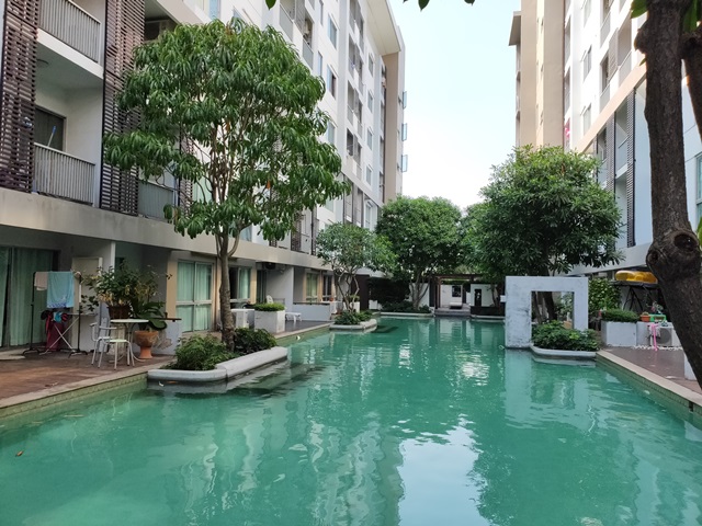full_20190430100154.jpg