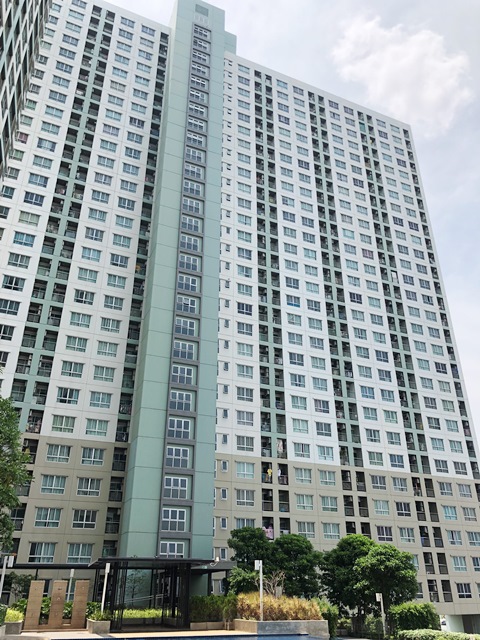 full_20190529185255.JPG