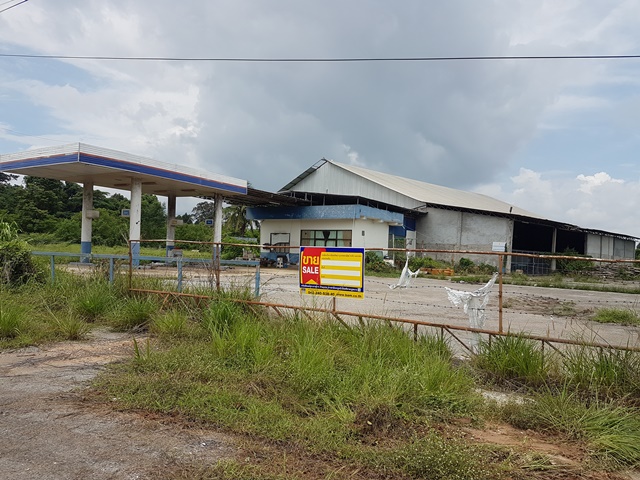full_20190713143407.jpg