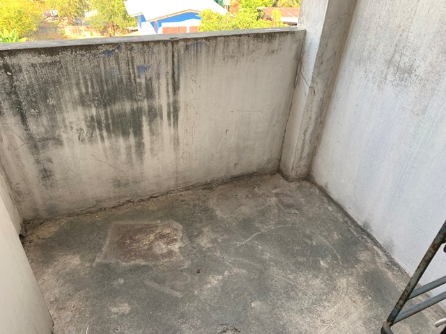 full_20190920160558.JPG