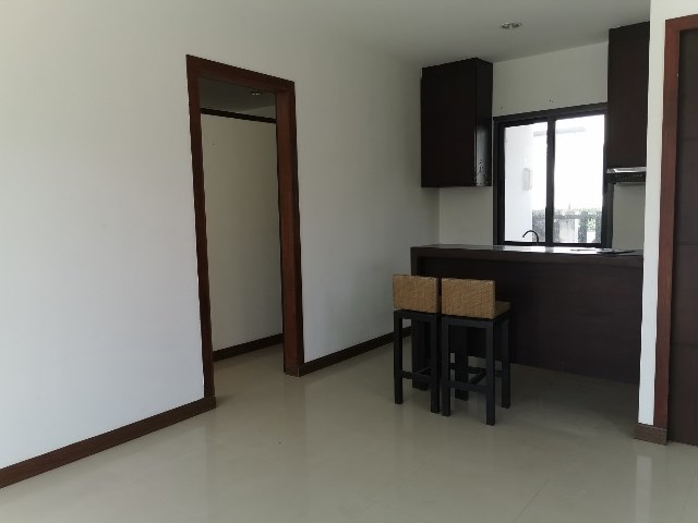 full_20191024161905.jpg