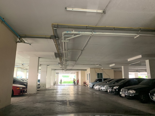 full_20191104115823.JPG