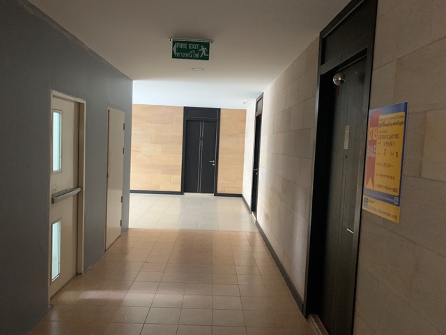 full_20191104115833.JPG