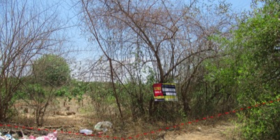 ที่ดินเปล่า โครงการสวนเกษตรทรัพย์สักทอง ลำพูน