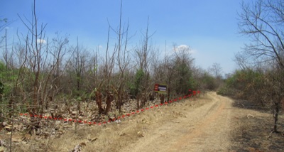 ที่ดินเปล่า โครงการสวนเกษตรทรัพย์สักทอง ลำพูน