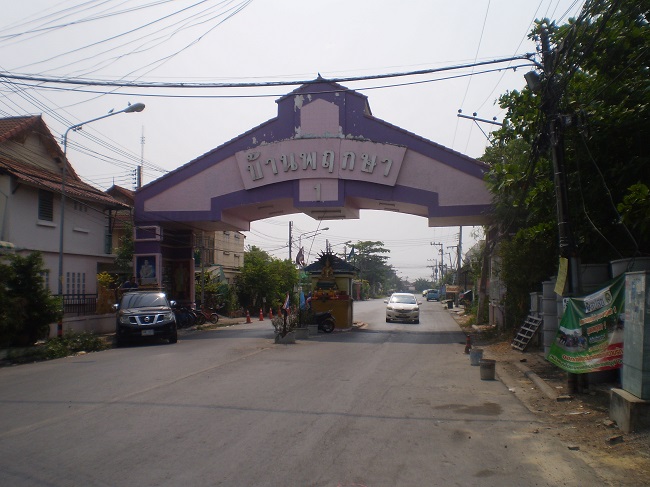 full_20200205101824.jpg