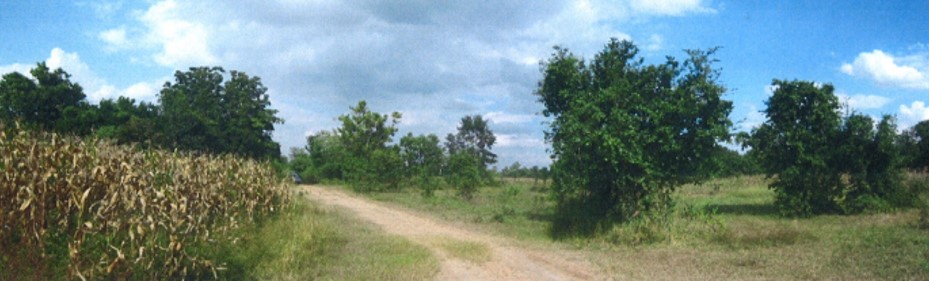 full_20200312123850.jpg