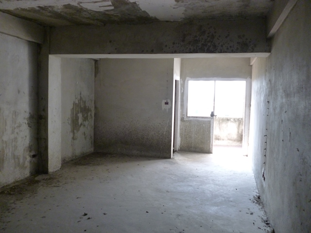 full_20200313175046.jpg