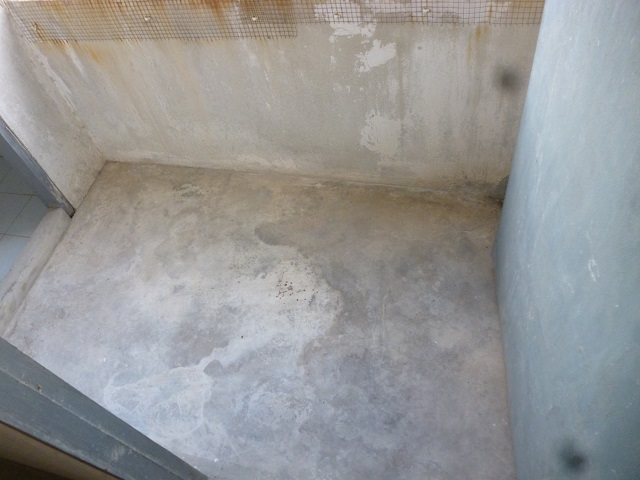 full_20200411141549.jpg