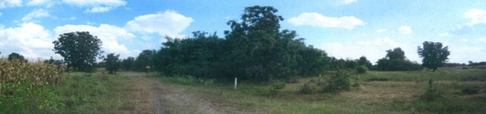full_20200420121314.jpg