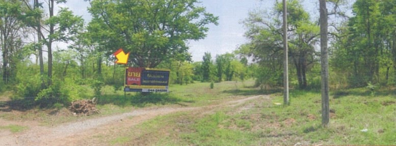 Vacant Land