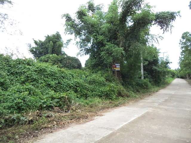 full_20200616162709.jpg