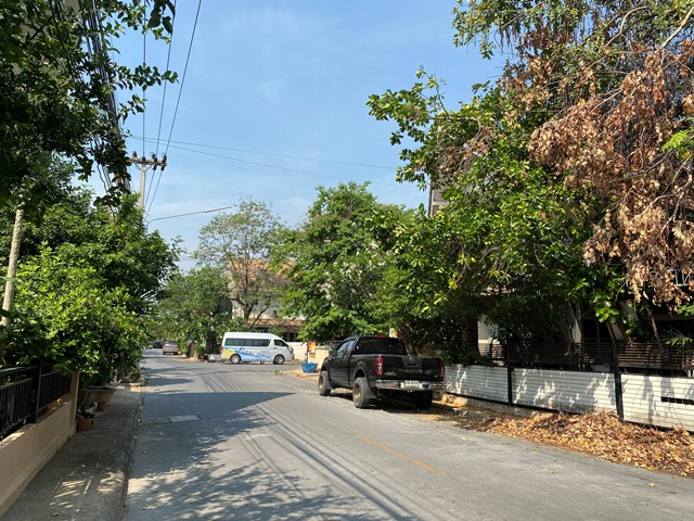 full_20200618190602.jpg