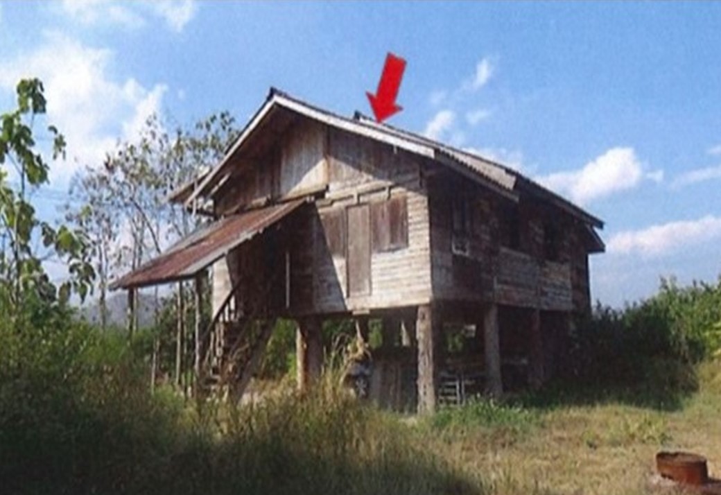full_20200624104833.jpg