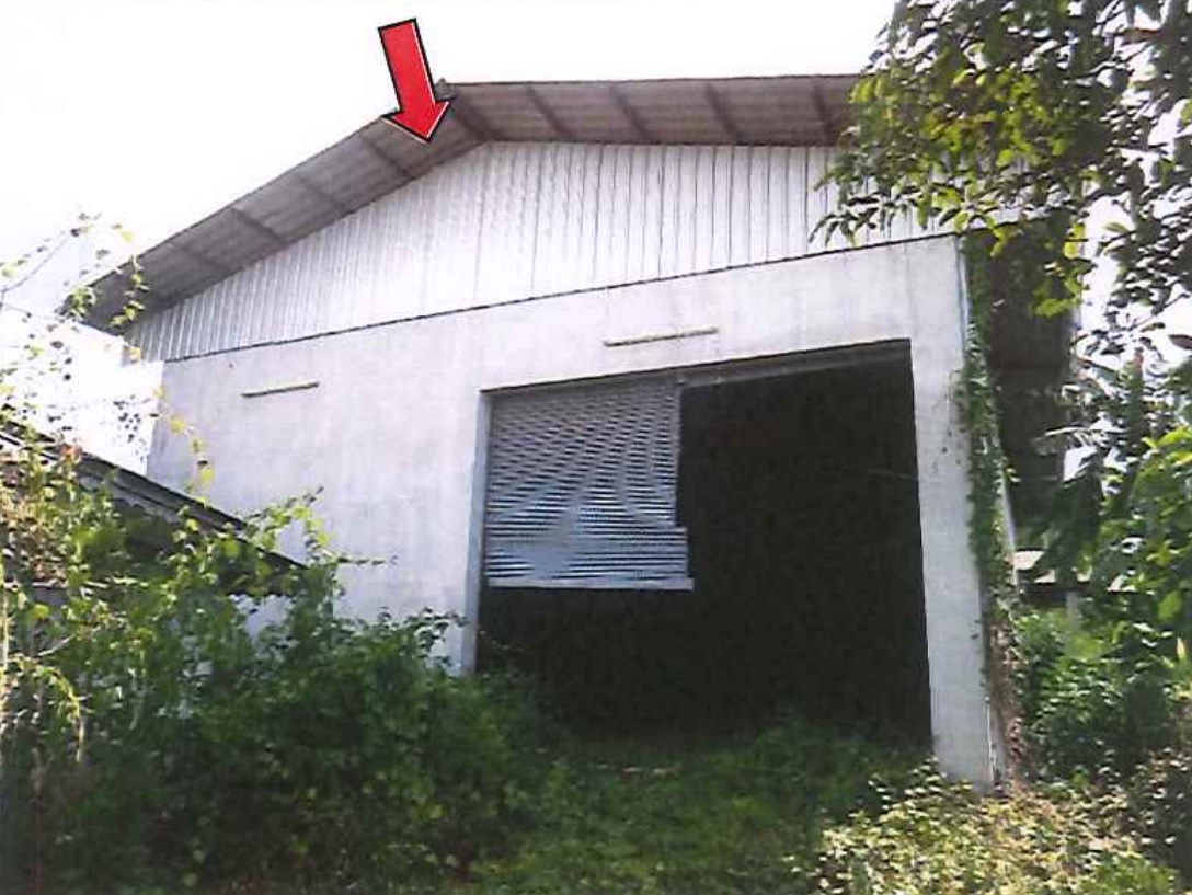 full_20200630134214.jpg