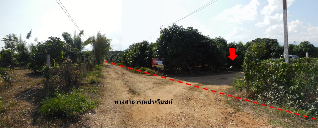 ที่ดินเปล่า โครงการบ้านหนองห่าย เชียงใหม่