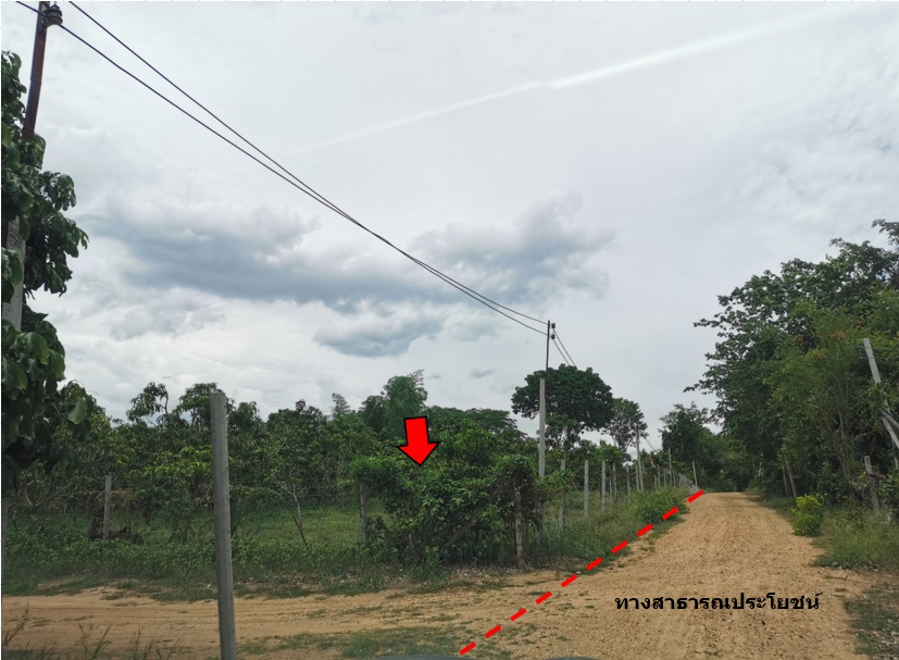 ที่ดินเปล่า โครงการบ้านหนองห่าย เชียงใหม่