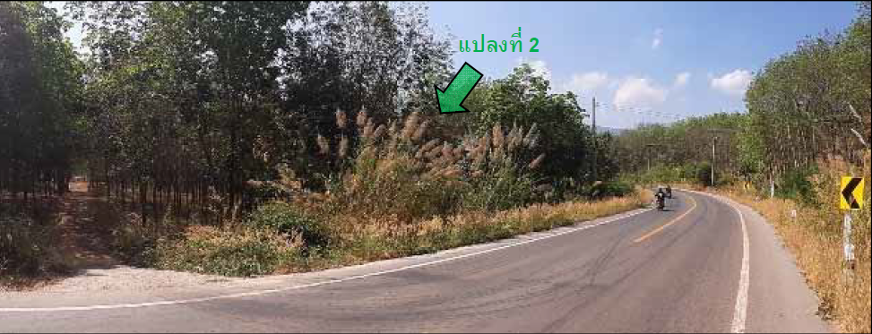 full_20200730104206.png
