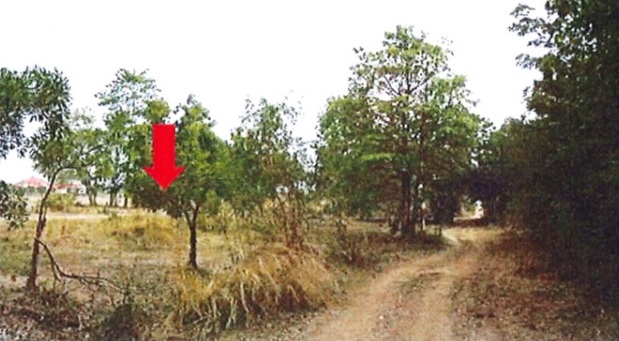 full_20201006110433.jpg