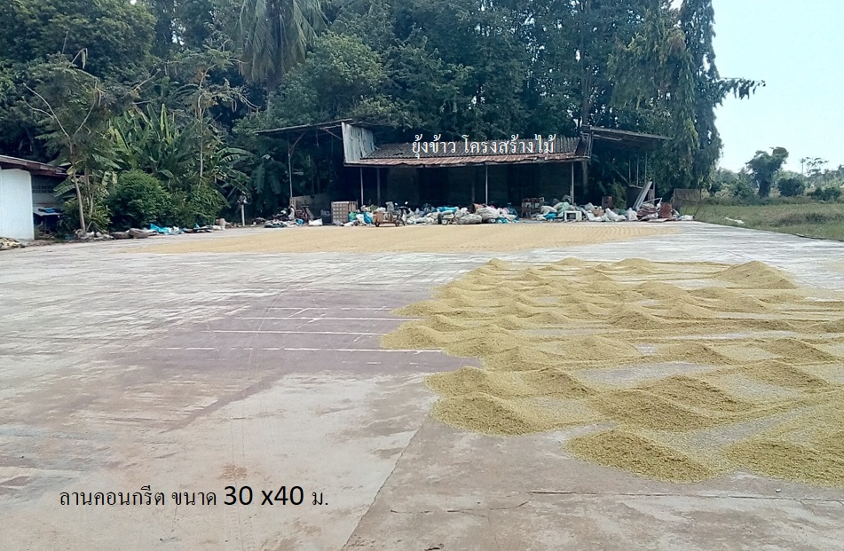 full_20201007093930.jpg