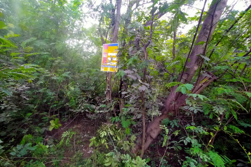 full_20201027140942.jpg