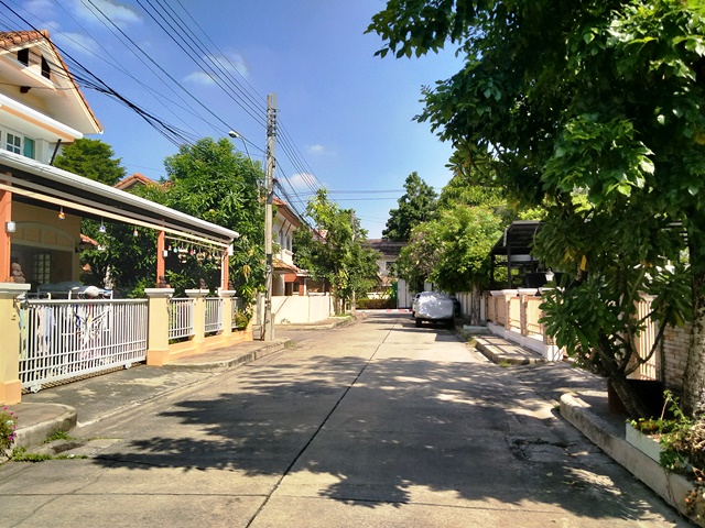 full_20201119155009.jpg