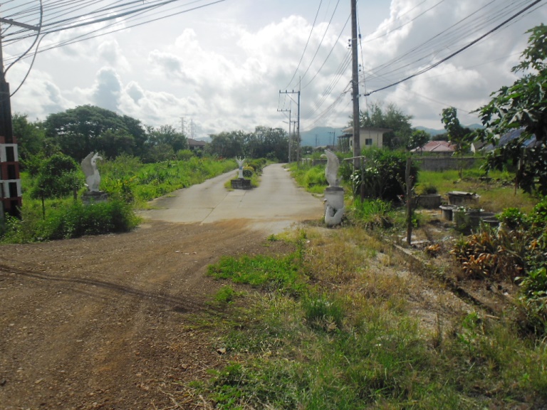 full_20201216104025.jpg