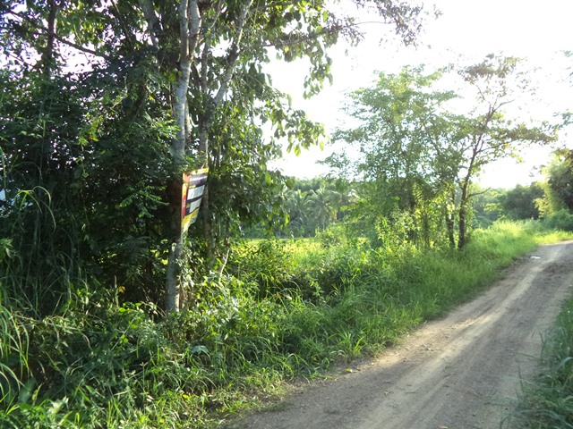 full_20201225122217.jpg