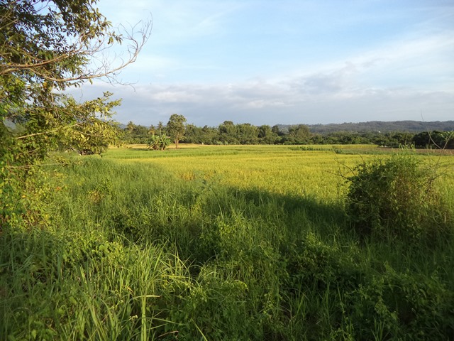 full_20201225122244.jpg