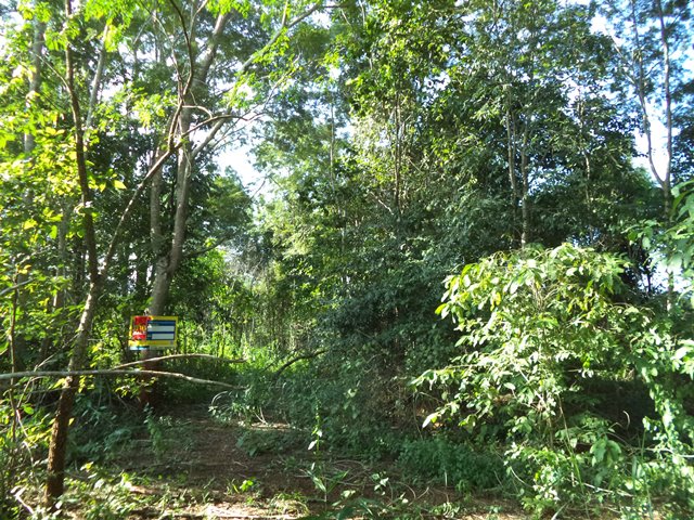 full_20201225142124.jpg