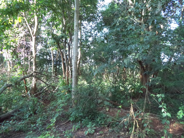 full_20201225142131.jpg