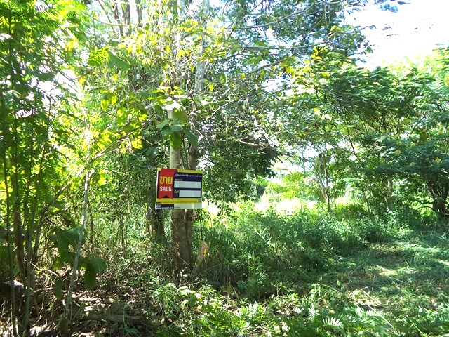 ที่ดินเปล่า โครงการรอยัลปิง เชียงใหม่ (Land for Sale at Royal Ping, Chiang Mai)